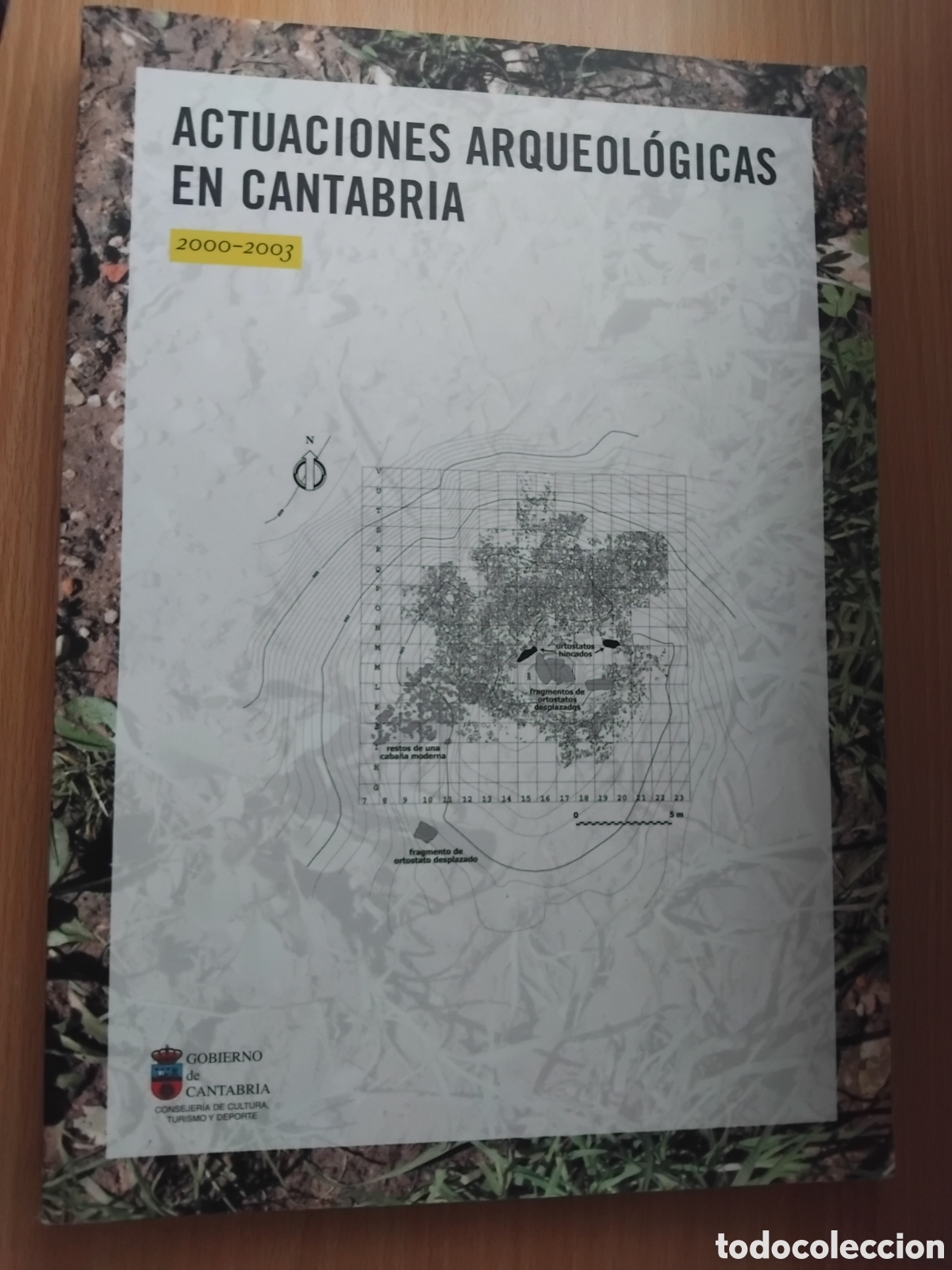 Libros de segunda mano: Actuaciones arqueol&oacute;gicas en Cantabria 2000-2003;R,Onta&ntilde;&oacute;n Peredo(ed.);Gobierno de Cantabria;2008