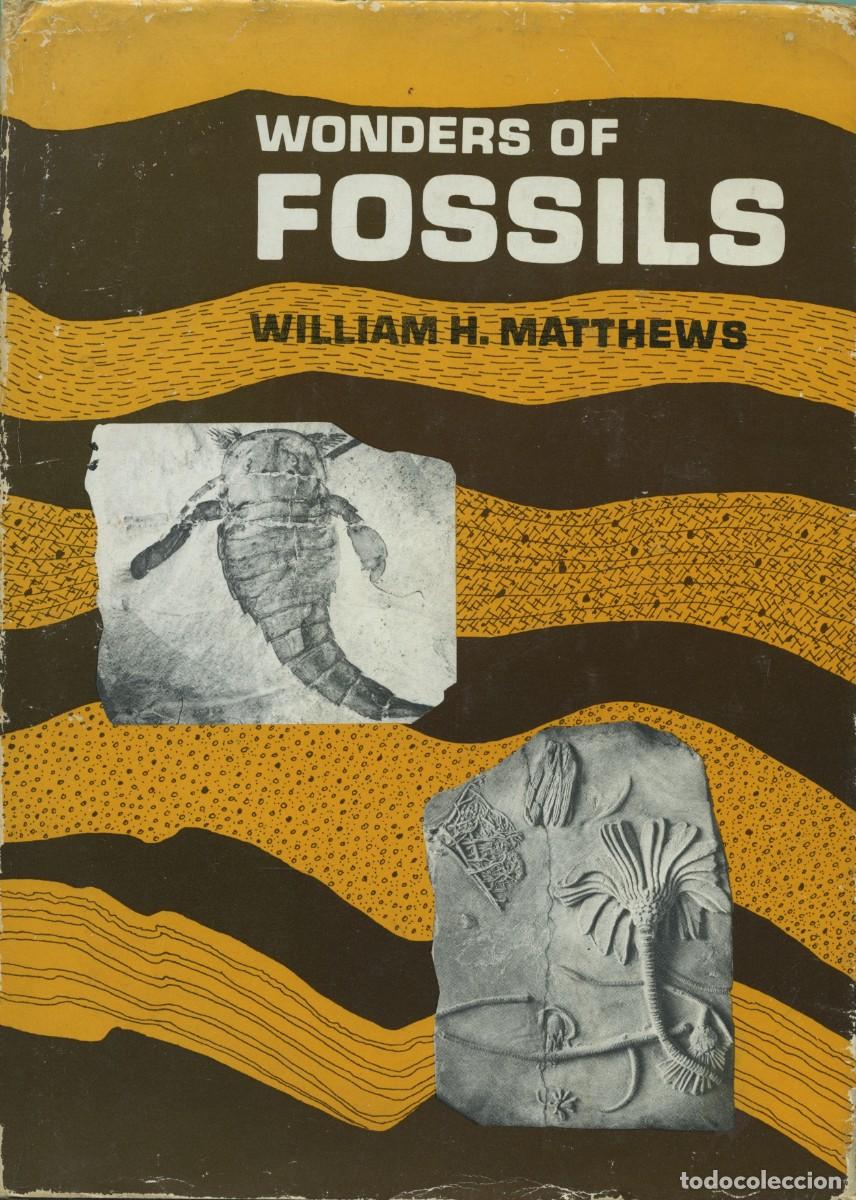 Libros de segunda mano: William H. Matthews. WONDERS OF FOSSILS. Ed. World's Work Ltd. 1968. Pp. 66