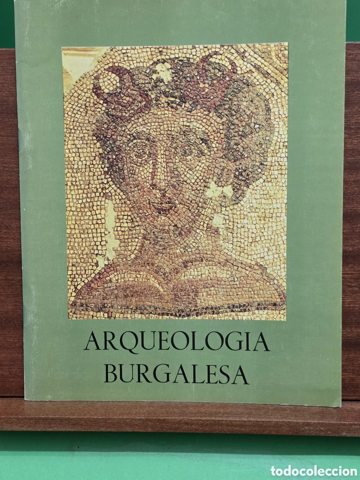 Libros de segunda mano: &rdquo;&rdquo;ARQUEOLOG&Iacute;A BURGALESA&rdquo;&rdquo;...VV. AA...1982...