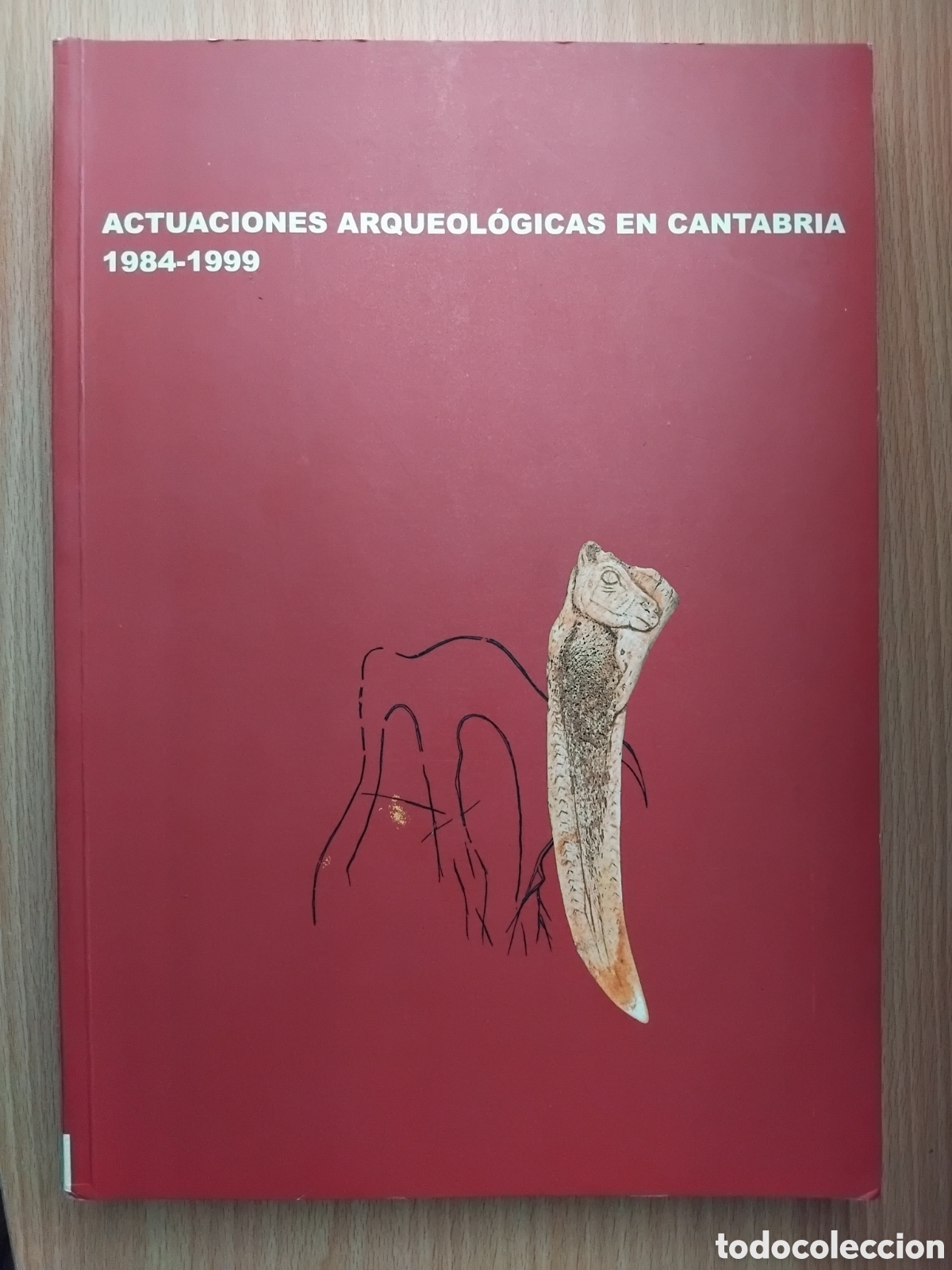 Libros de segunda mano: Actuaciones arqueol&oacute;gicas en Cantabria 1984-1999;R,Onta&ntilde;&oacute;n Peredo(ed.);Gobierno de Cantabria;2000