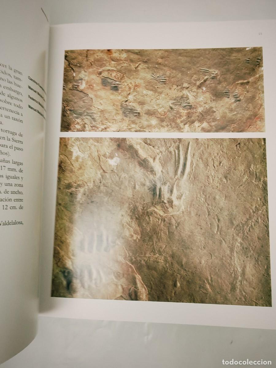 Libros de segunda mano: Gu&iacute;a Museo Numantino - Foto 4