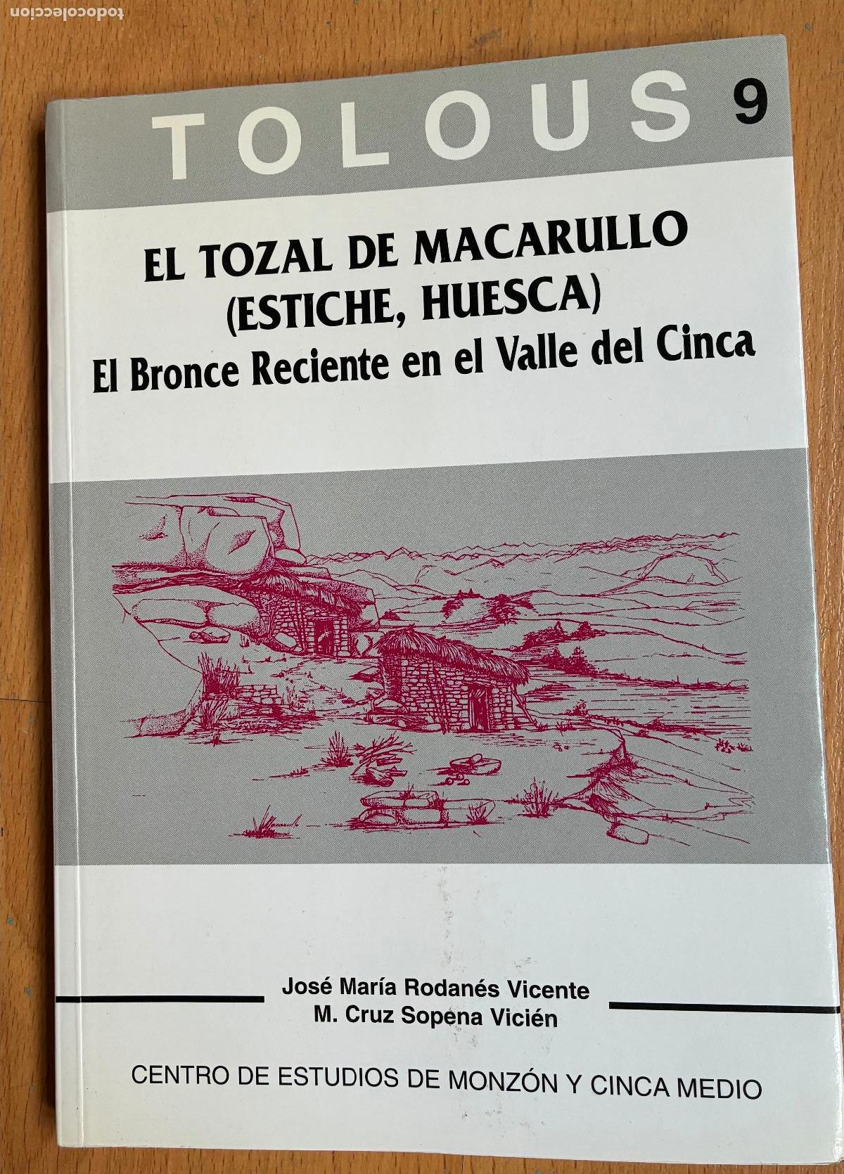 Libros de segunda mano: EL TOZAL DE MACARULLO Estiche, Huesca, el bronce reciente en el valle del Cinca
