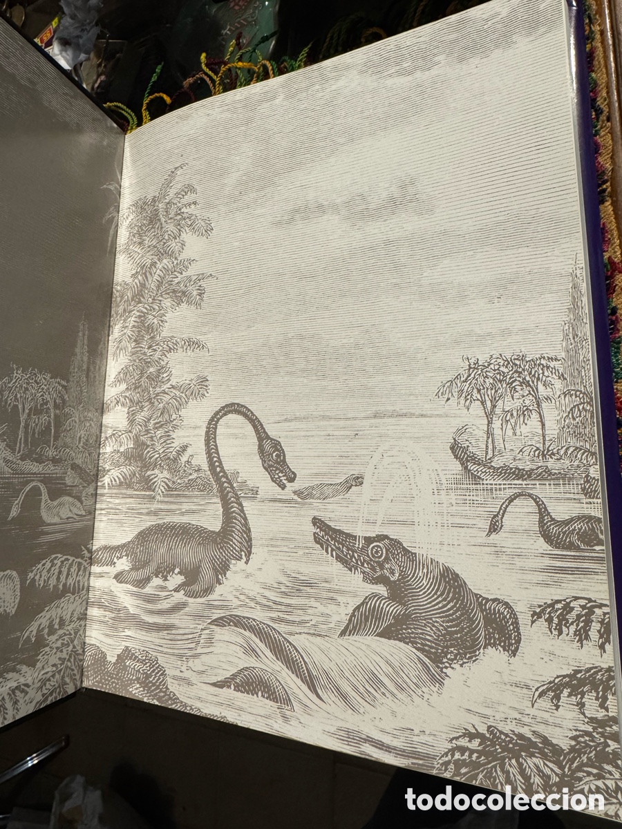 Libros de segunda mano: Dinosaurios en la Comunidad Valenciana - Foto 2