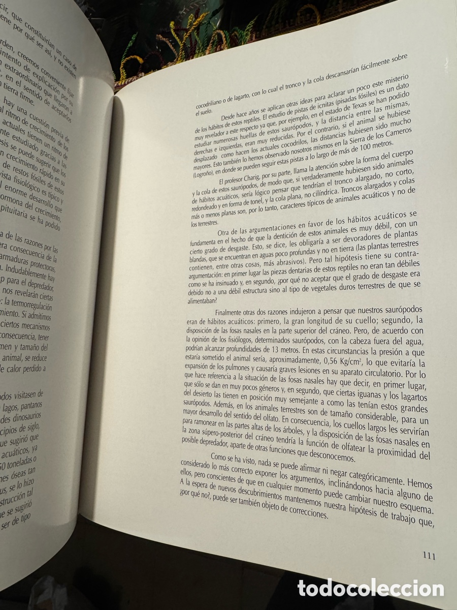 Libros de segunda mano: Dinosaurios en la Comunidad Valenciana - Foto 4