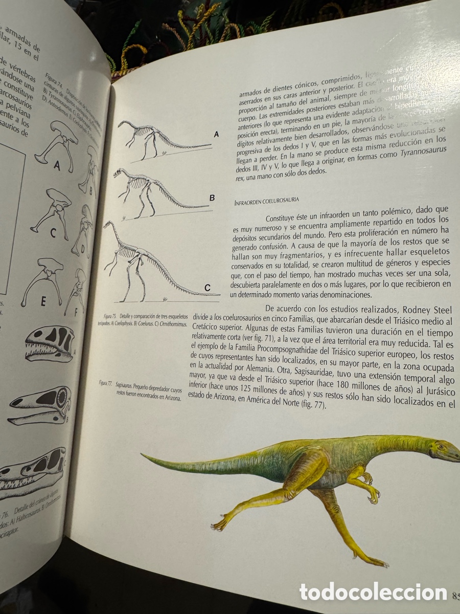 Libros de segunda mano: Dinosaurios en la Comunidad Valenciana - Foto 5