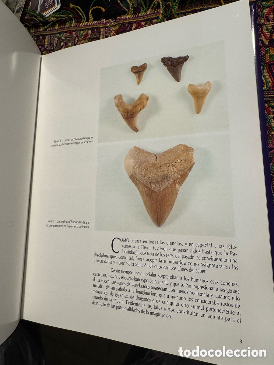Libros de segunda mano: Dinosaurios en la Comunidad Valenciana - Foto 11