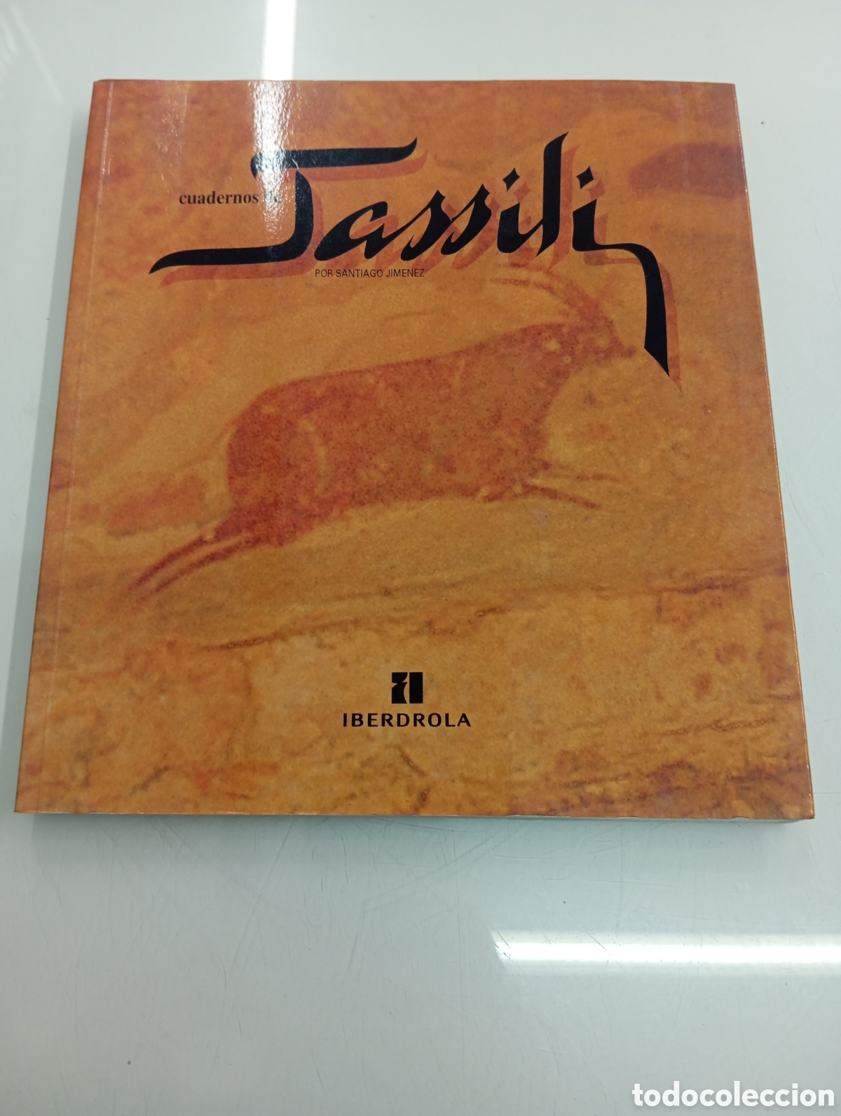 Libros de segunda mano: CUADERNOS DE TASSILI SANTIAGO JIMENEZ IBERDROLA 1999 MARRUECOS SAHARA AFRICA ESPA&Ntilde;A TUAREG TAMRIT