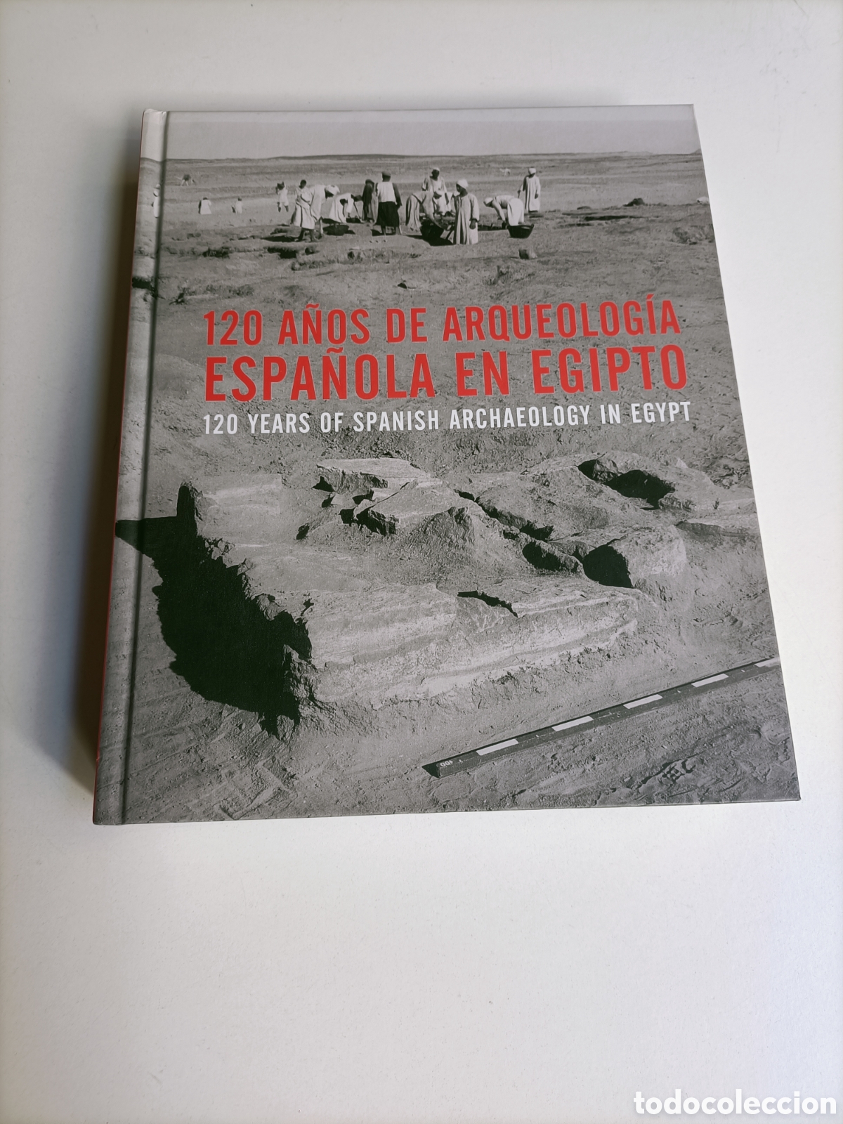 Libros de segunda mano: 120 a&ntilde;os de arqueolog&iacute;a espa&ntilde;ola en Egipto