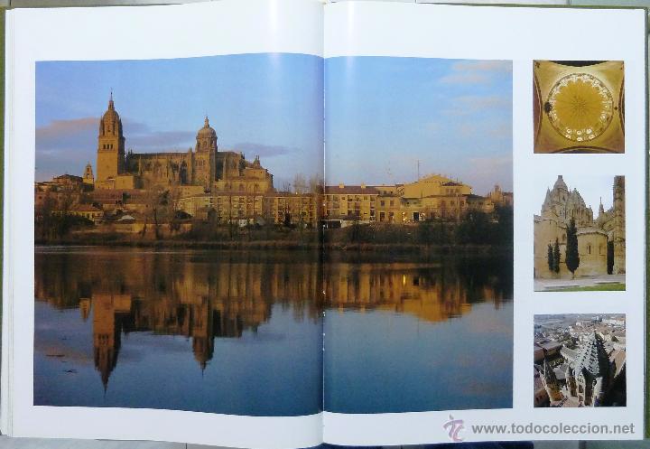 Libros de segunda mano: LAS CATEDRALES DE CASTILLA Y LEON. JUNTA DE CASTILLA Y LEON. 1994. - Foto 6