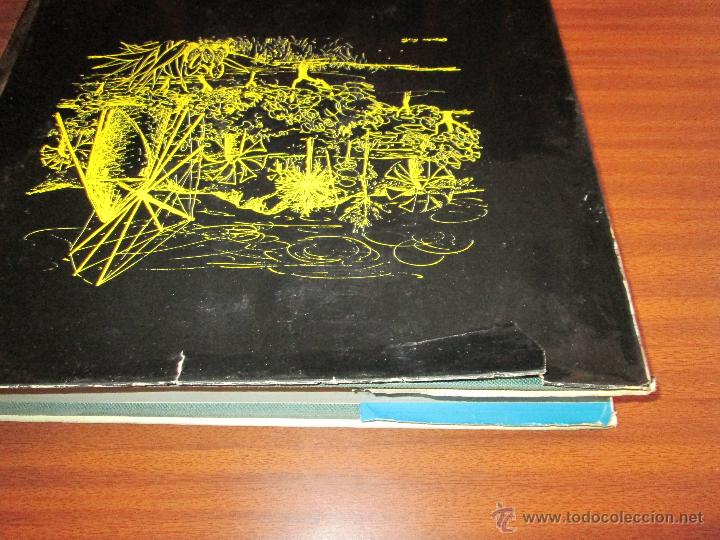 Libros de segunda mano: Molinos --- Gregorio Prieto - Foto 2