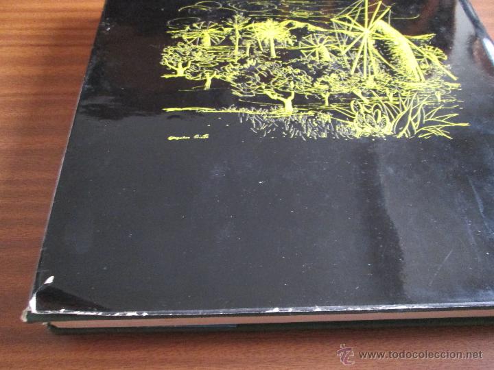 Libros de segunda mano: Molinos --- Gregorio Prieto - Foto 17