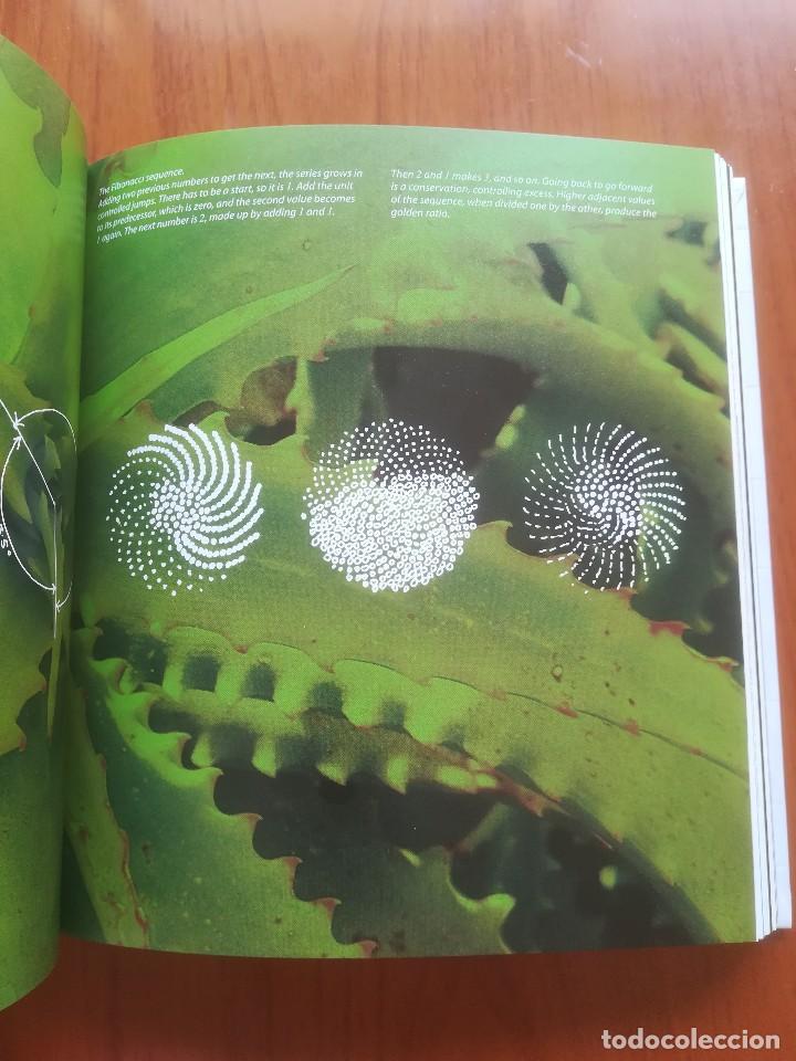 Libros de segunda mano: ELEMENT - CECIL BALMOND- EDITORIAL PRESTEL 2007 - Foto 8