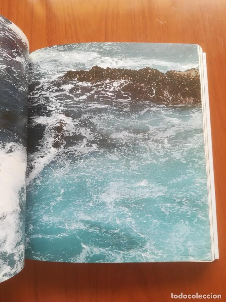 Libros de segunda mano: ELEMENT - CECIL BALMOND- EDITORIAL PRESTEL 2007 - Foto 10