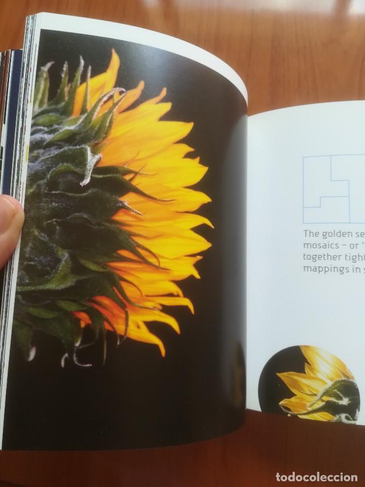 Libros de segunda mano: ELEMENT - CECIL BALMOND- EDITORIAL PRESTEL 2007 - Foto 13