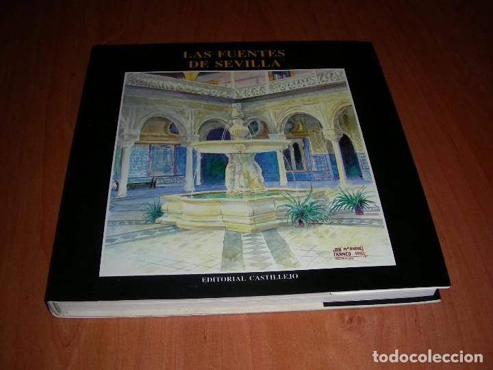 Libros de segunda mano: LAS FUENTES DE SEVILLA , ED. CASTILLEJO - Foto 1