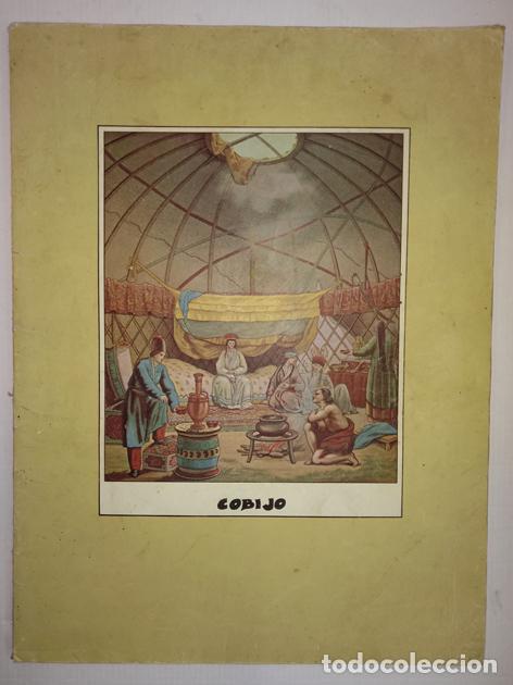Libros de segunda mano: COBIJO. TITULO ORIGINAL EN INGL&Eacute;S: Shelter. - Foto 1