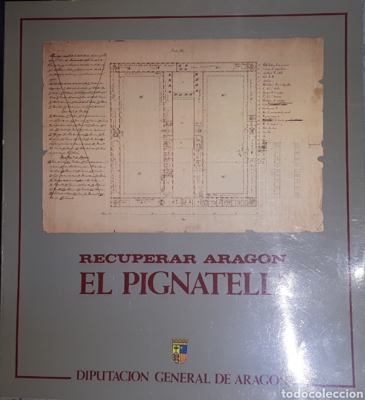 Libros de segunda mano: RECUPERAR ARAG&Oacute;N EL PIGNATELLI - Foto 1