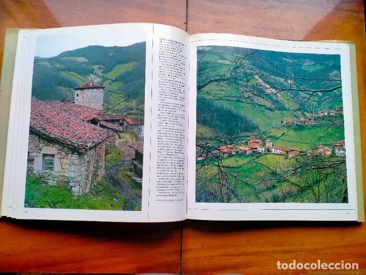 Libros de segunda mano: Hiedra, historia y piedra - Foto 7