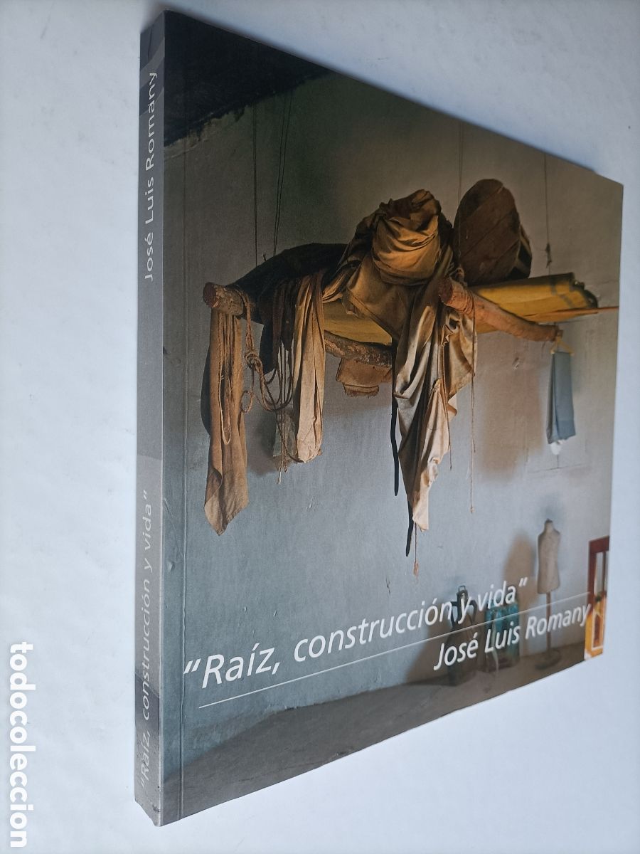Gebrauchte B&uuml;cher: Ra&iacute;z construcci&oacute;n y vida Jos&eacute; Luis Romany