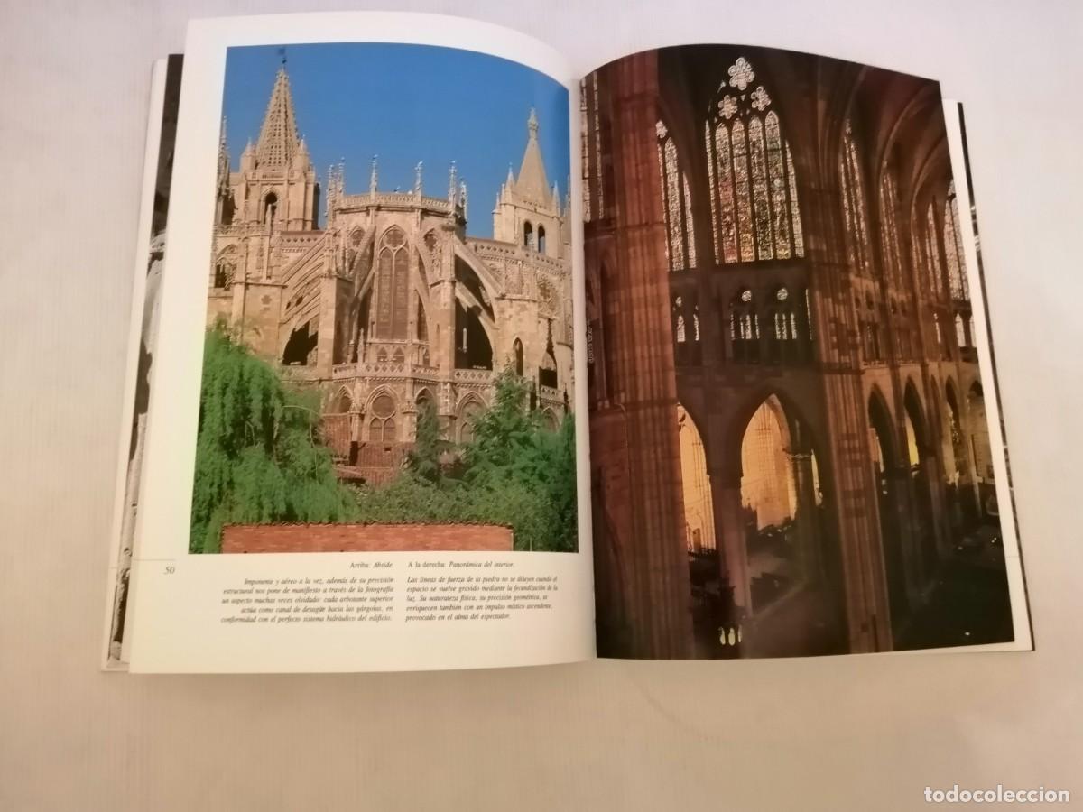 Libros de segunda mano: M&aacute;ximo G&oacute;mez Rasc&oacute;n La Catedral de Leon. Cristal y Fe - Foto 5