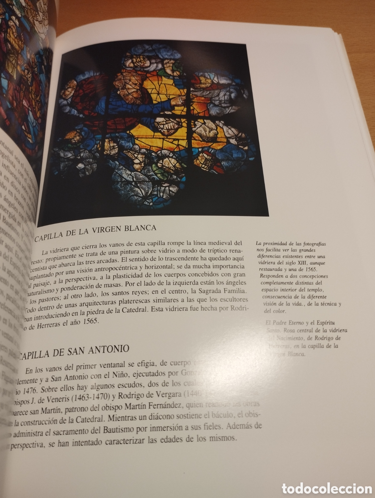 Libros de segunda mano: LA CATEDRAL DE LE&Oacute;N. CRISTAL Y FE (TEXTO: MAXIMO GOMEZ RASCON) - Foto 9