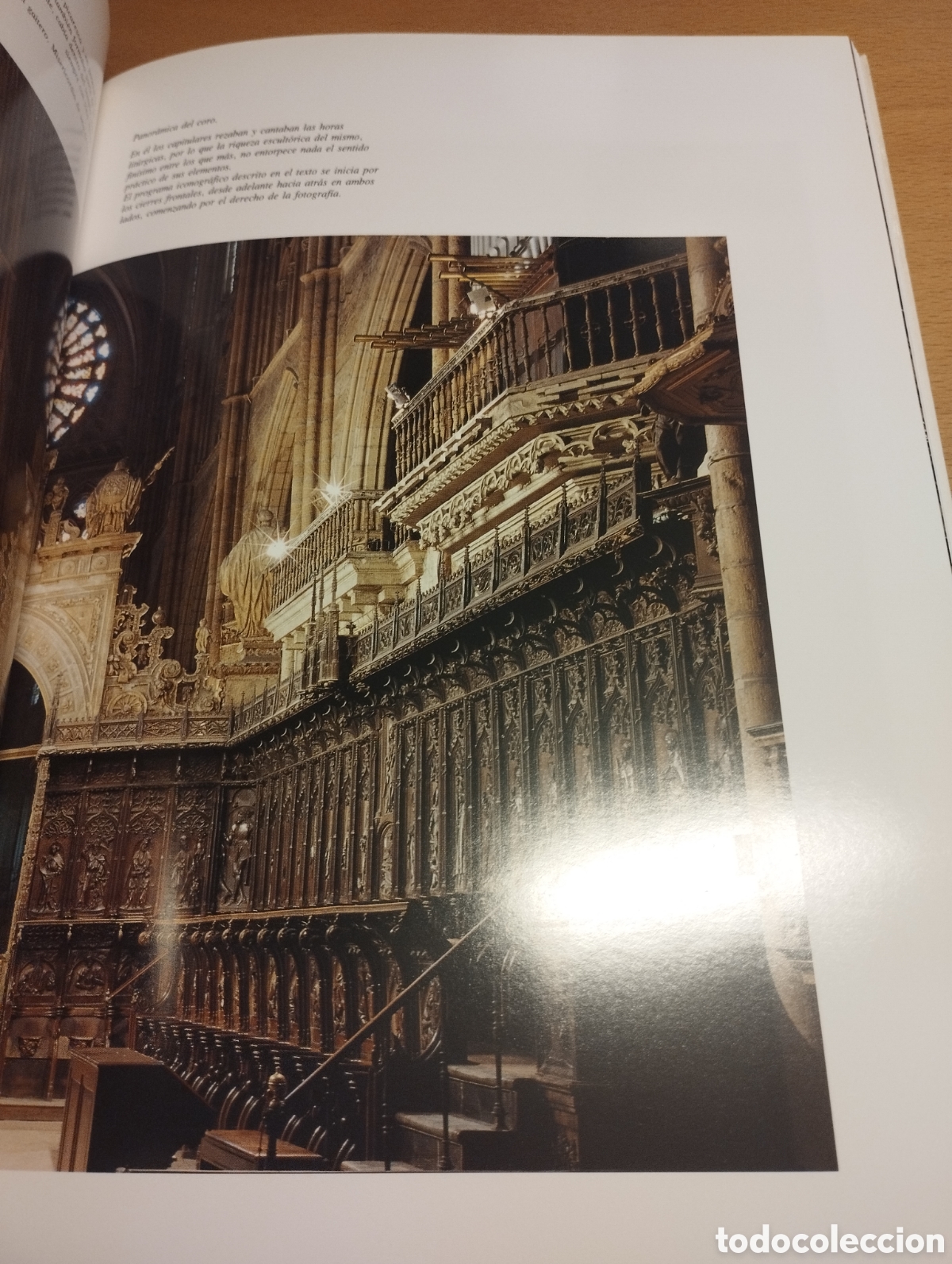 Libros de segunda mano: LA CATEDRAL DE LE&Oacute;N. CRISTAL Y FE (TEXTO: MAXIMO GOMEZ RASCON) - Foto 11