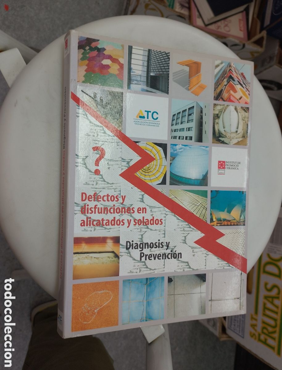 Livres d'occasion: DEFECTOS Y DISFUNCIONES EN ALICATADOS Y SOLADOS