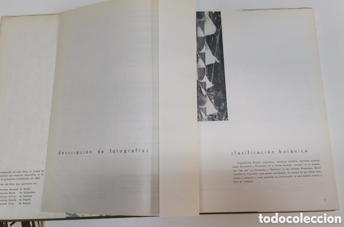 Libros de segunda mano: LA GUADUA. DICKEN CASTRO. 1966. - Foto 2