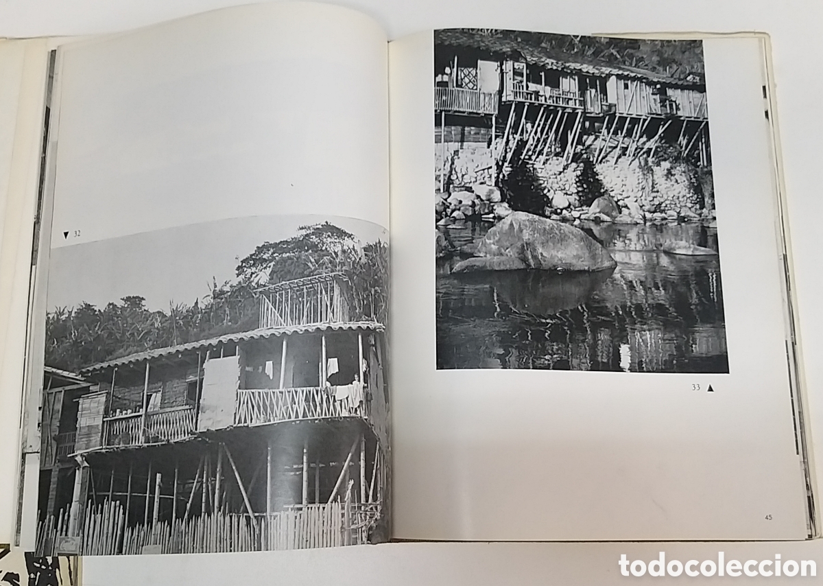 Libros de segunda mano: LA GUADUA. DICKEN CASTRO. 1966. - Foto 3