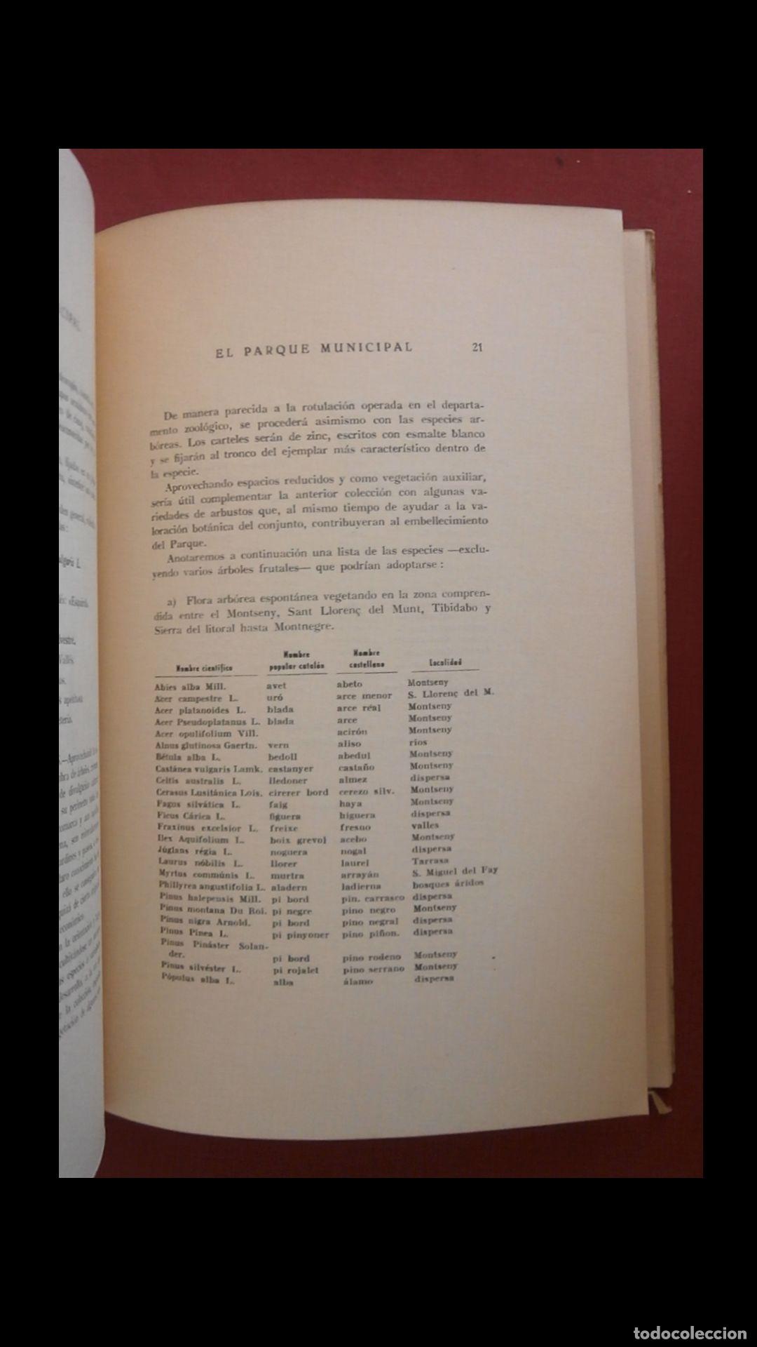 Libros de segunda mano: El parque municipal. Antonio Jonch - Foto 3