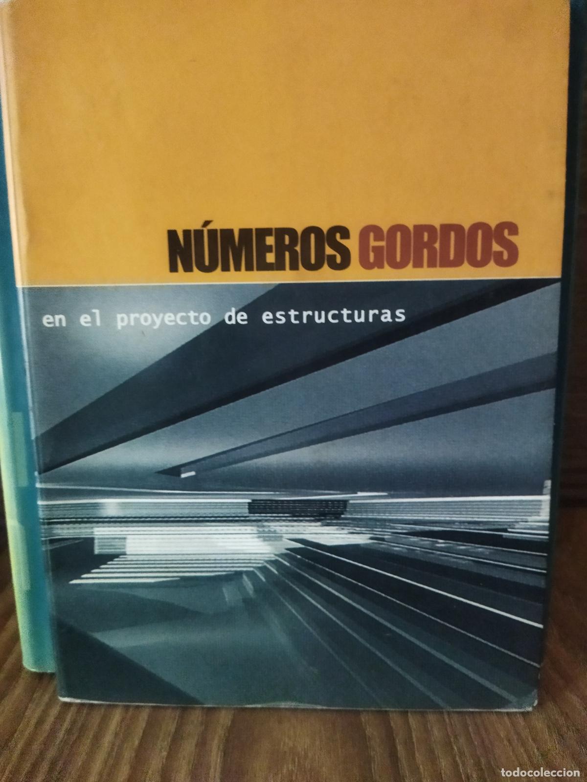 Libros de segunda mano: Numeros gordos en el proyecto de estructuras - Foto 1