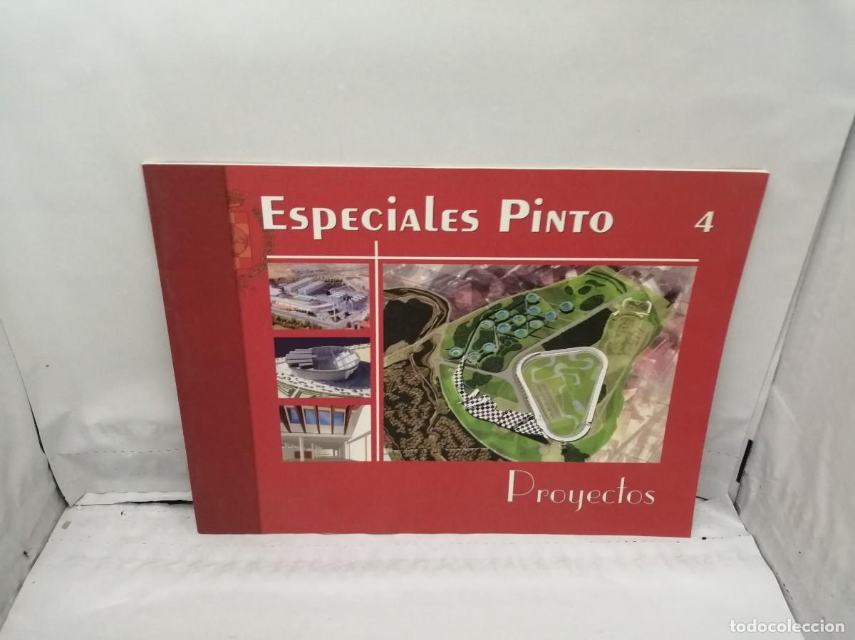 Libri di seconda mano: Especiales Pinto 4: Proyectos