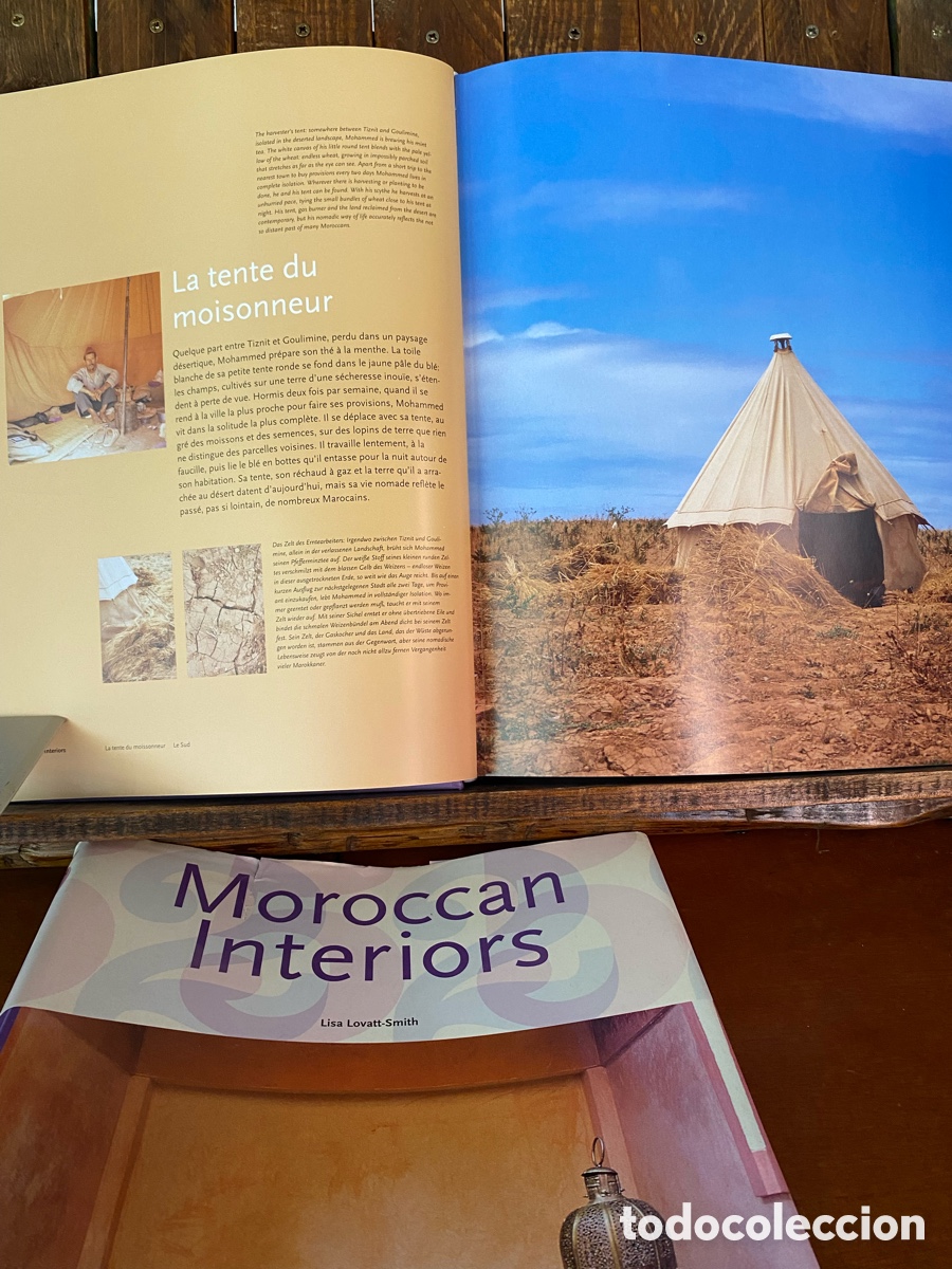 Libros de segunda mano: Moroccan Interiors Lisa Lovett-smith - Foto 8