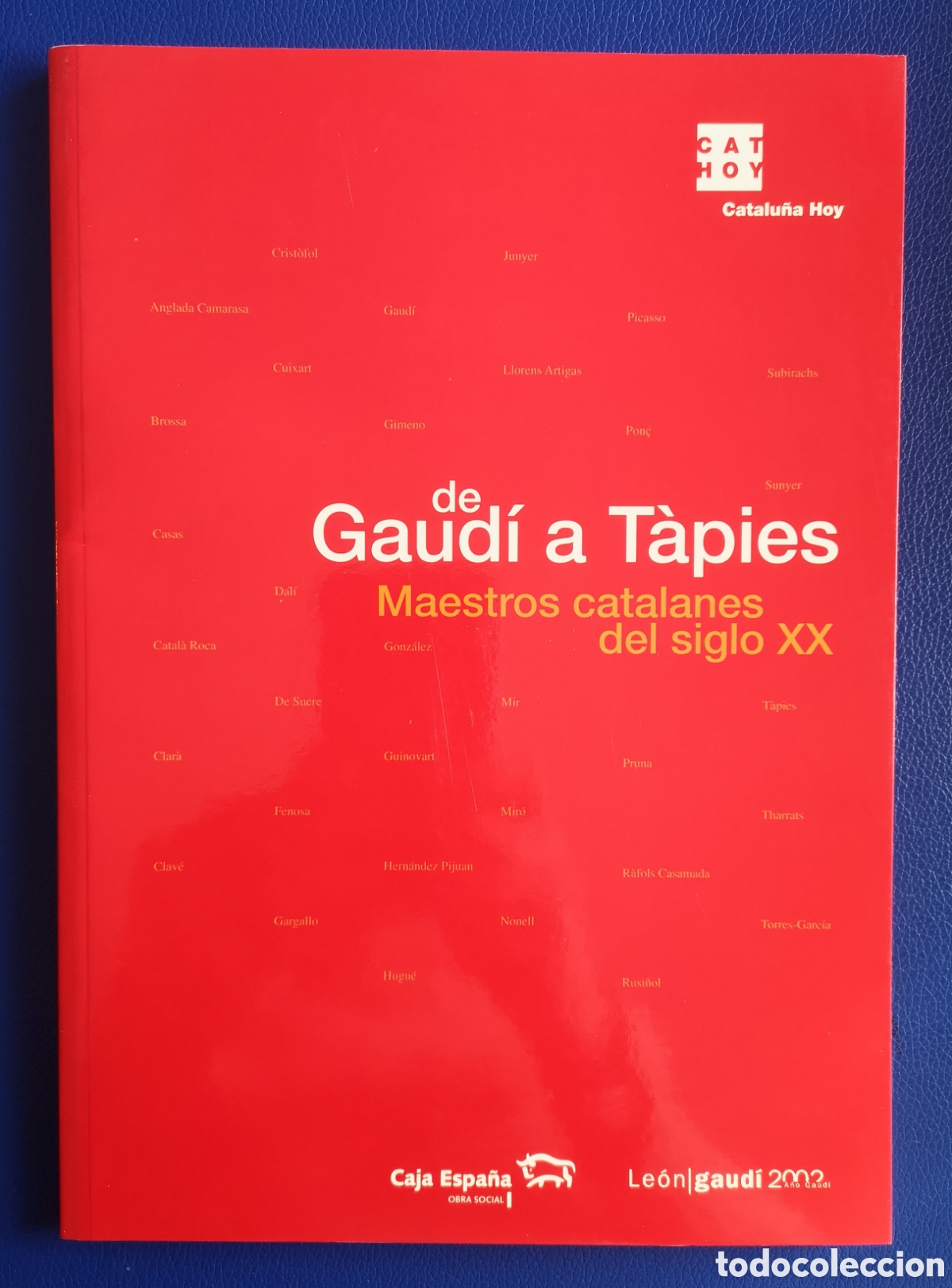 Libros de segunda mano: DE GAUD&Iacute; A T&Agrave;PIES - LIBRO - (25)