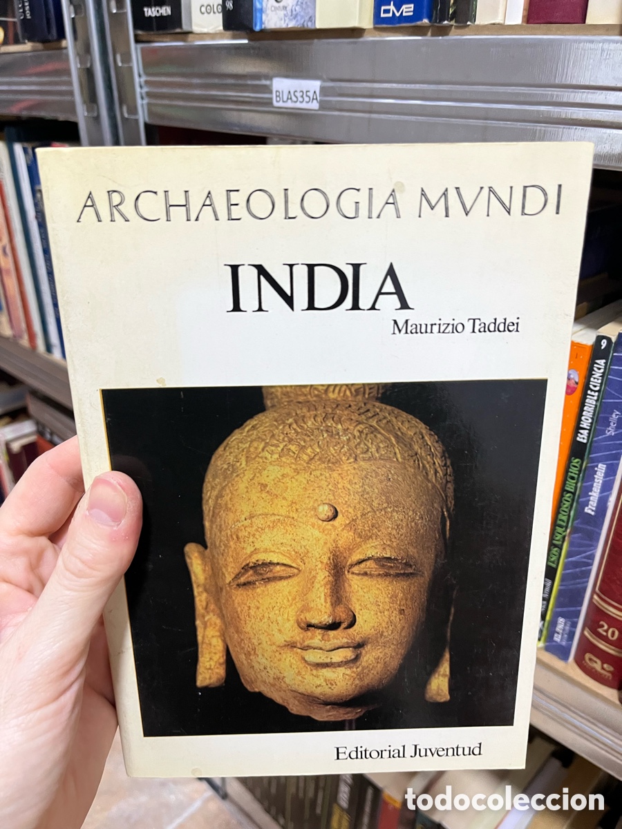 Libros de segunda mano: BLAS35A ARCHAEOLOGIA MVNDI INDIA Maurizio Taddei arqueolog&iacute;a