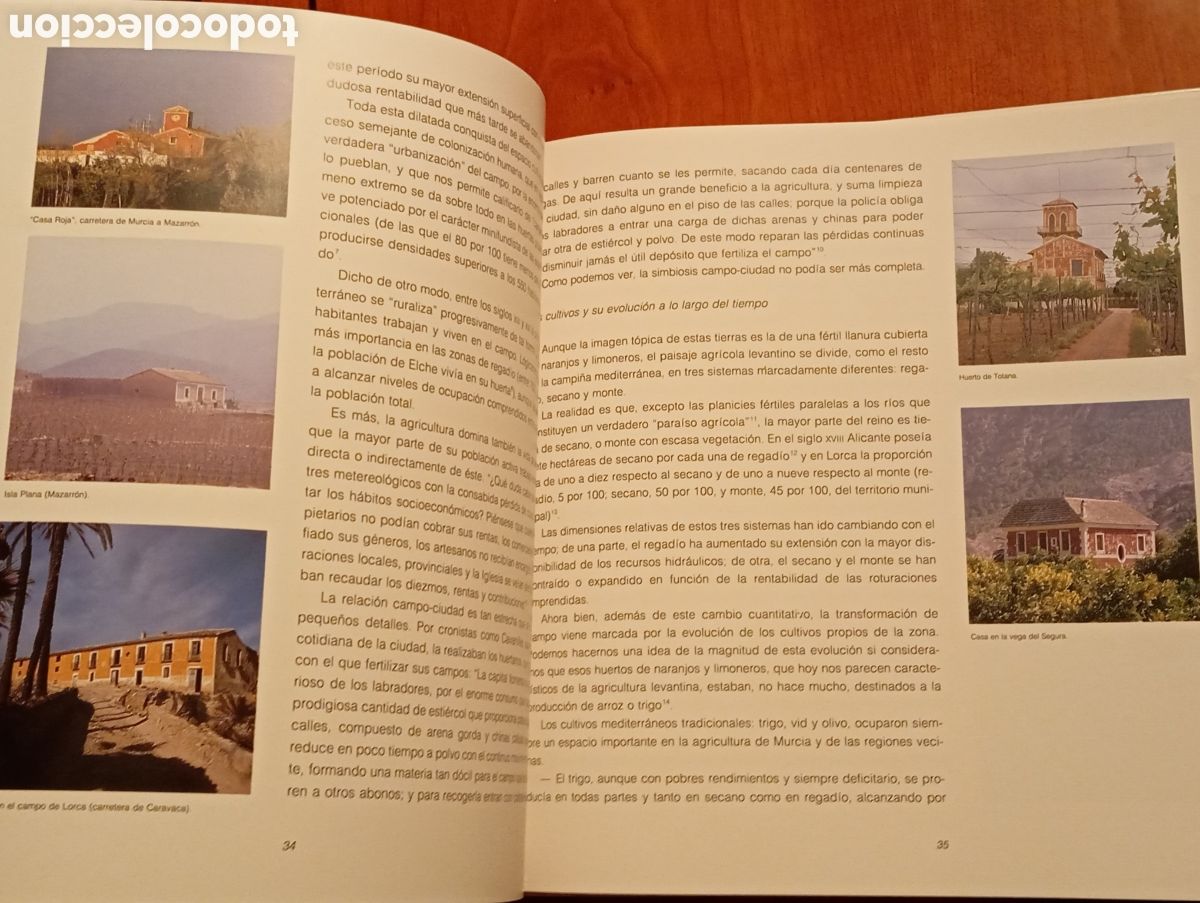 Libros de segunda mano: ARQUITECTURA Y COLOR EN MURCIA - Foto 6