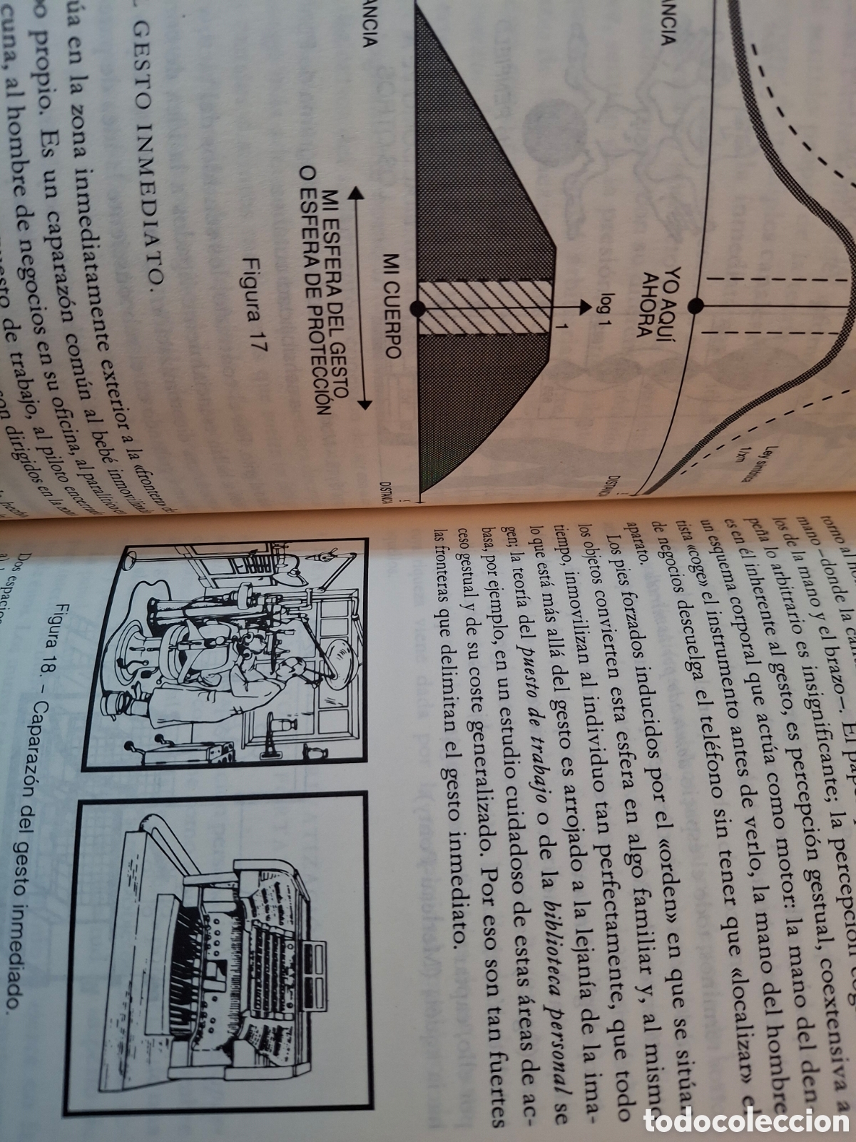 Libros de segunda mano: PSICOLOGIA DEL ESPACIO, A. MOLES-E. ROHMER, CIRCULO DE LECTORES, 1990 - Foto 5