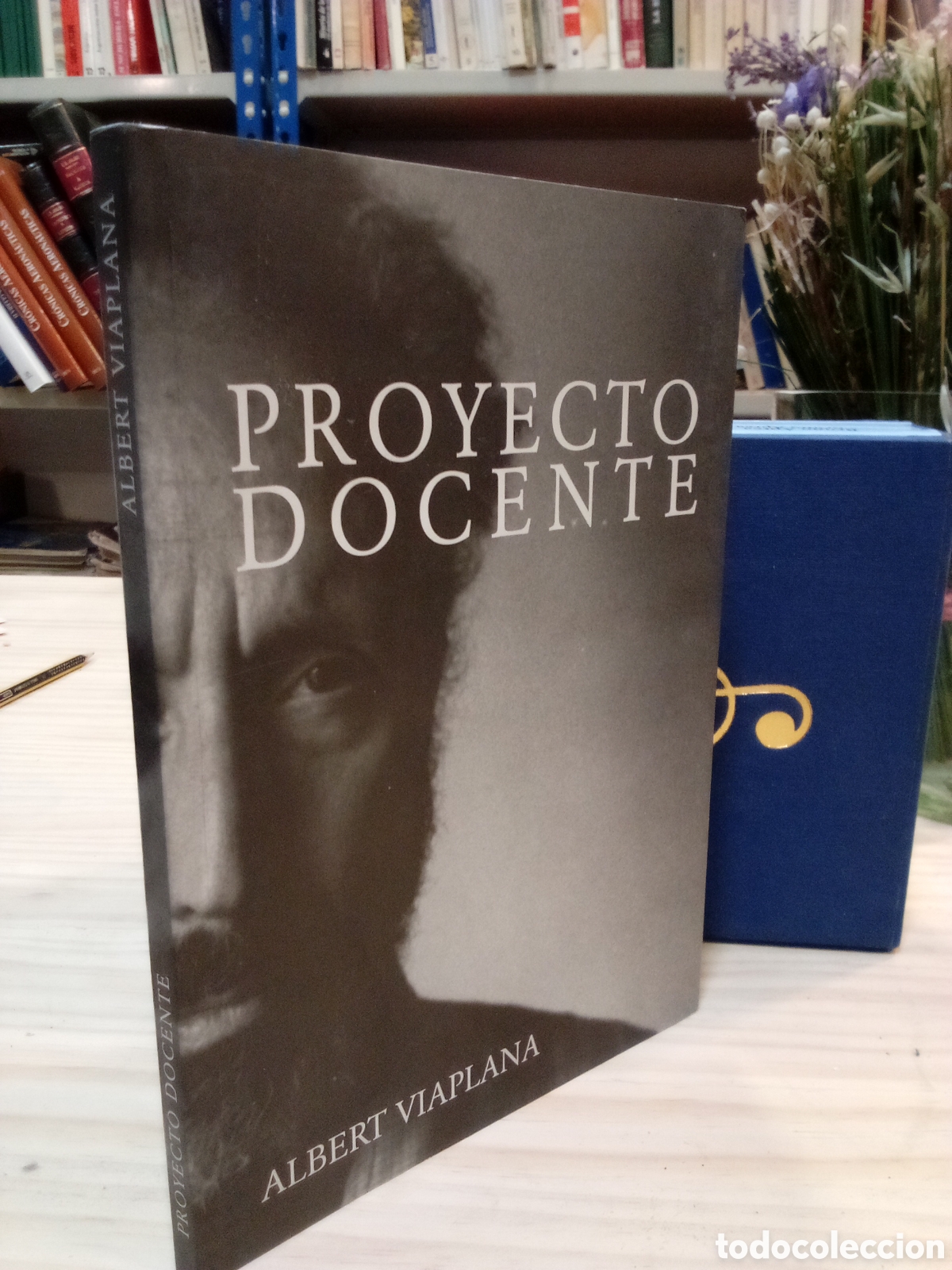 Libros de segunda mano: Proyecto Docente - Albert Viaplana - Foto 2
