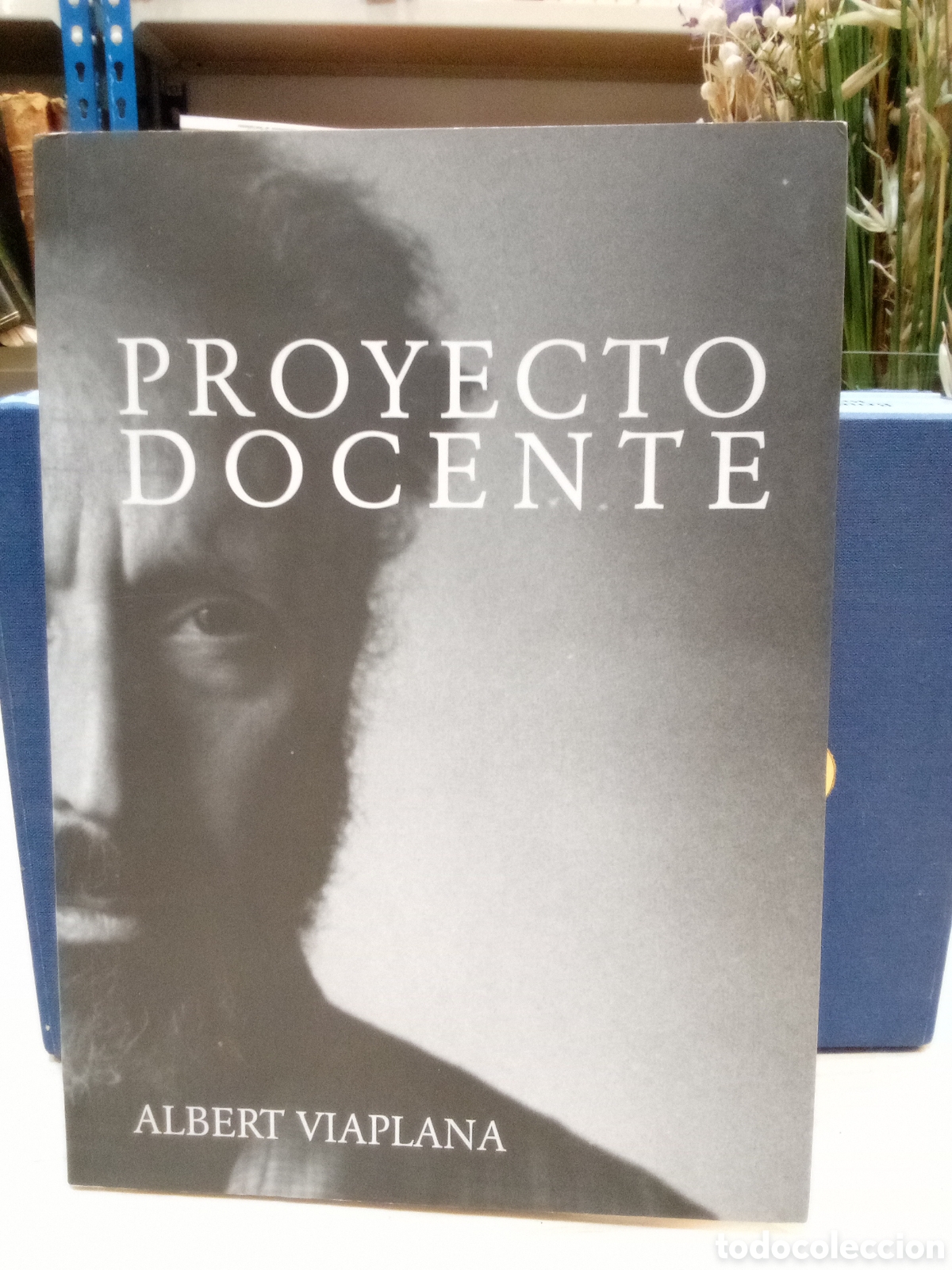 Libros de segunda mano: Proyecto Docente - Albert Viaplana - Foto 1