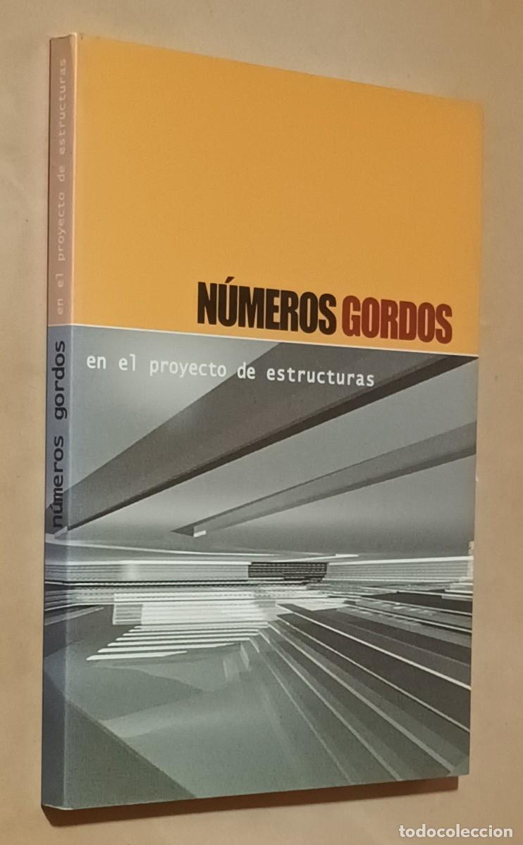 Libros de segunda mano: N&Uacute;MEROS GORDOS EN EL PROYECTO DE ESTRUCTURAS - VV. AA. - ED. CINTER - 2004 - Foto 1
