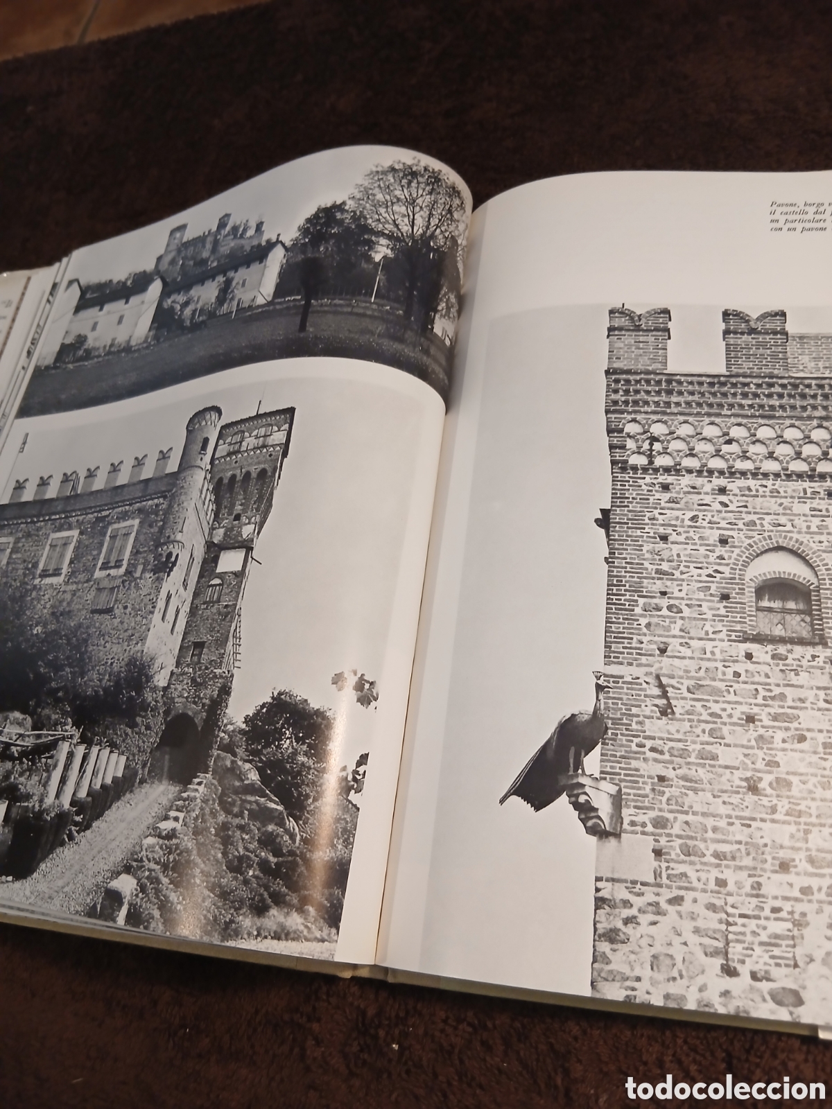 Libros de segunda mano: I castelli del Piemonte. Toni Nicolini. - Foto 9