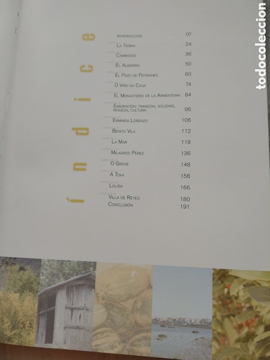 Libros de segunda mano: O SALNES/PILAR CERNUDA - Foto 2