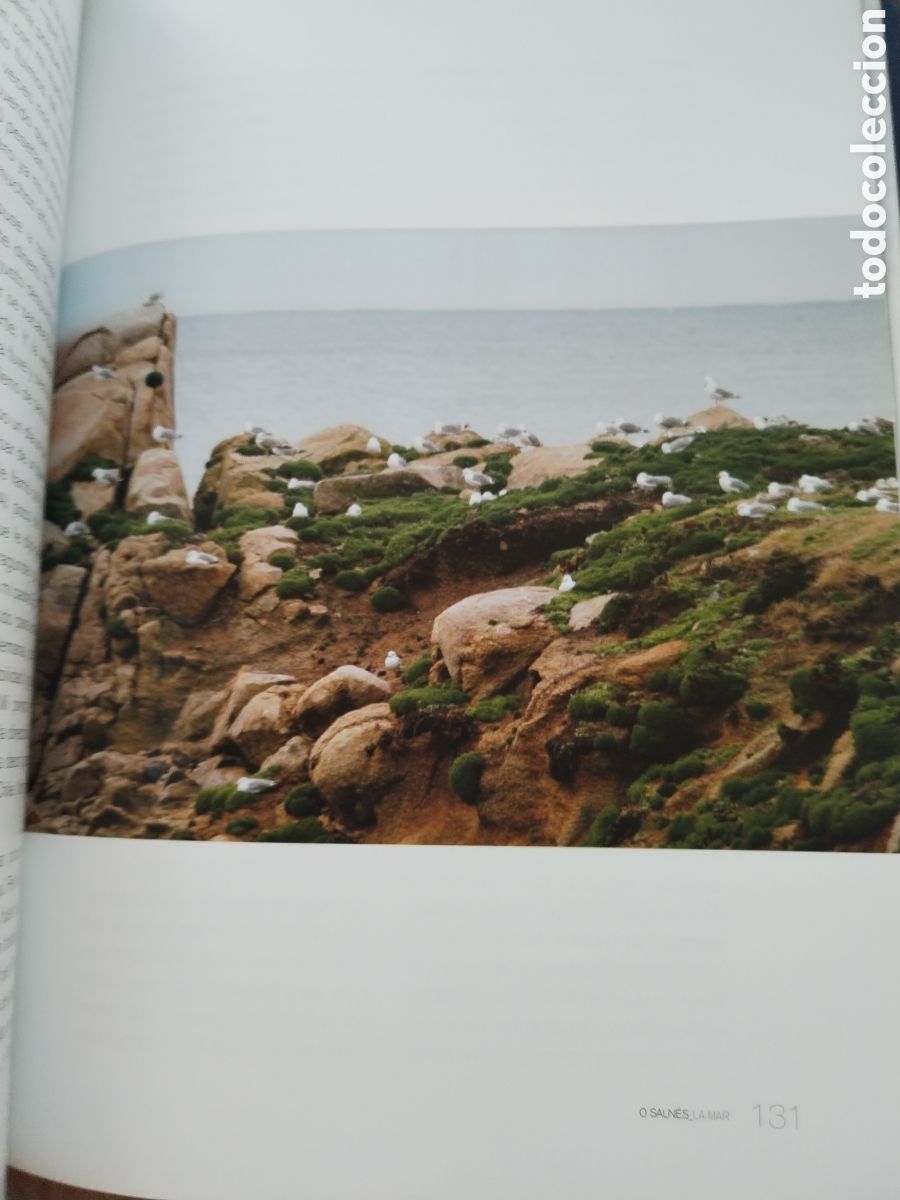 Libros de segunda mano: O SALNES/PILAR CERNUDA - Foto 6