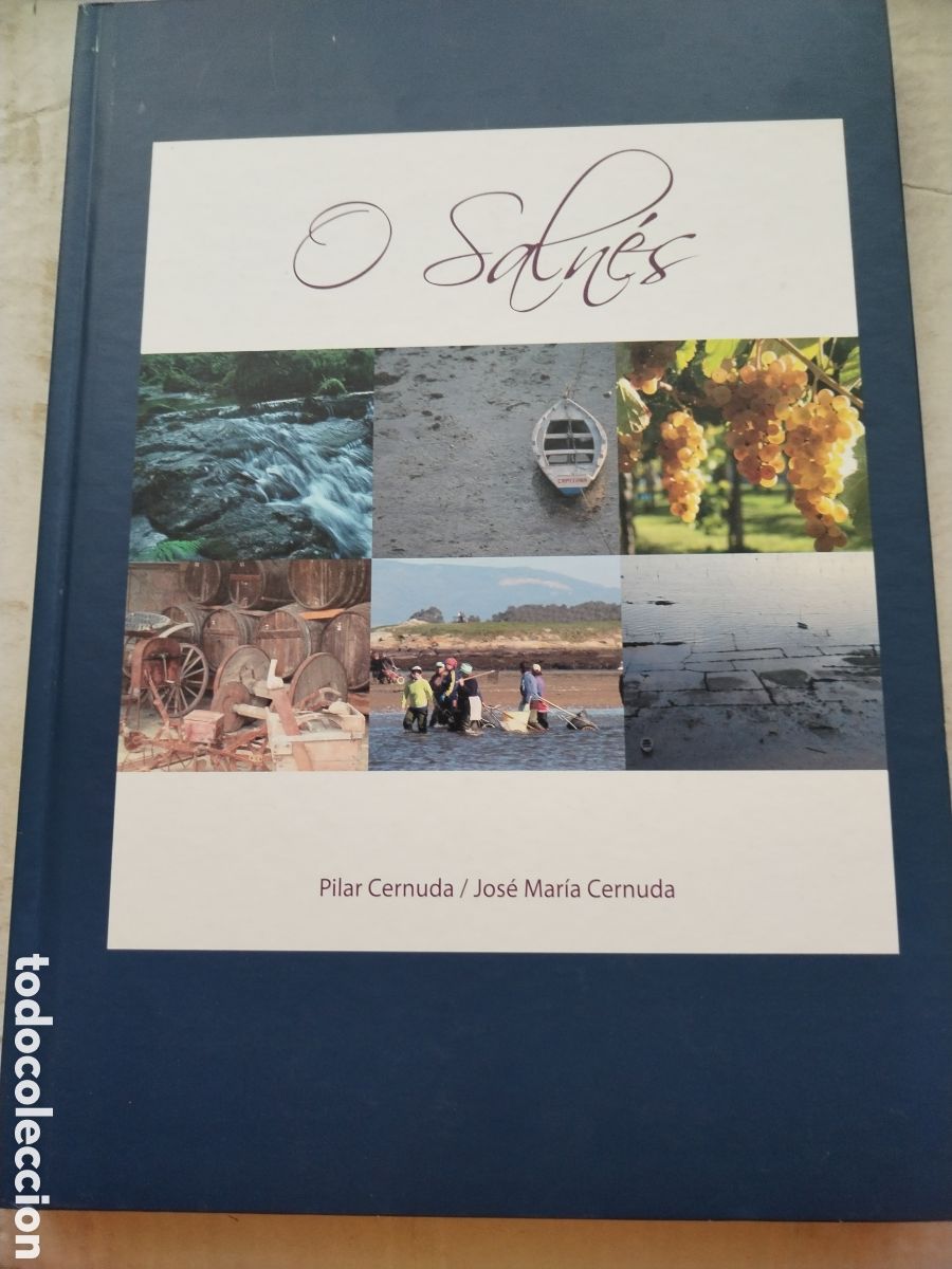 Libros de segunda mano: O SALNES/PILAR CERNUDA