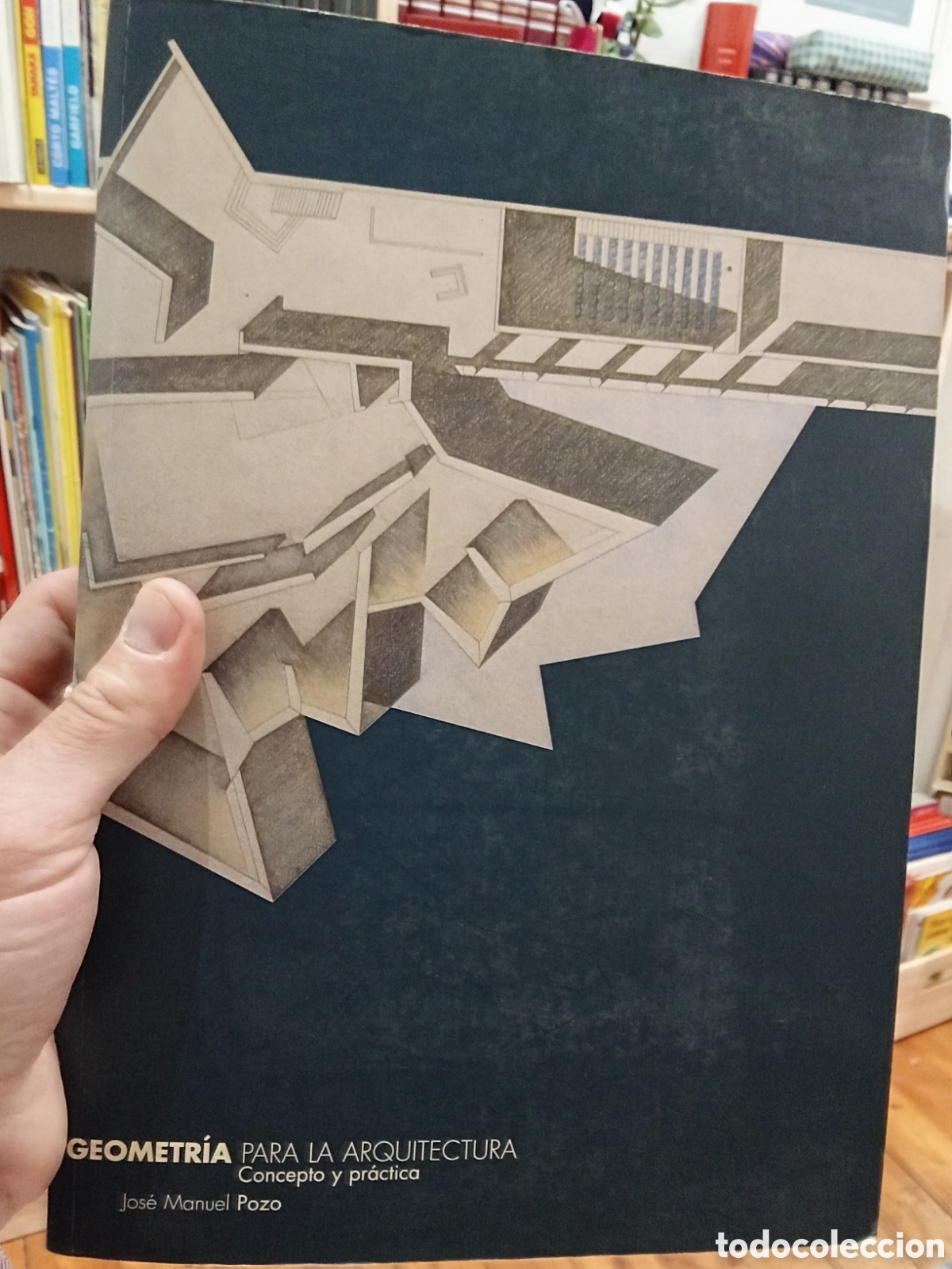 Libros de segunda mano: Geometr&iacute;a para la arquitectura. Concepto y pr&aacute;ctica - Jose Manuel Pozo - T6 Ediciones