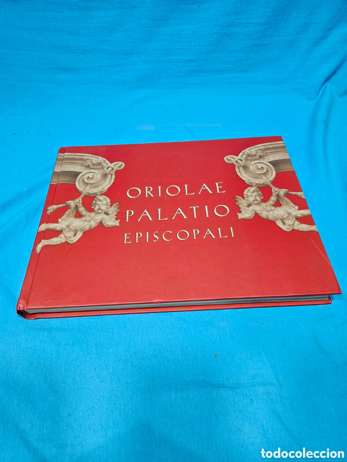 Libros de segunda mano: EL PALACIO EPISCOPAL DE ORIHUELA. ORIOLAE PALATIO EPISCOPALI