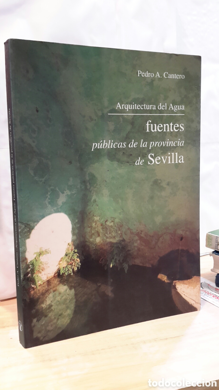 Gebrauchte B&uuml;cher: Pedro A. Cantero. Arquitectura del Agua: Fuentes Publicas de la Provincia de Sevilla