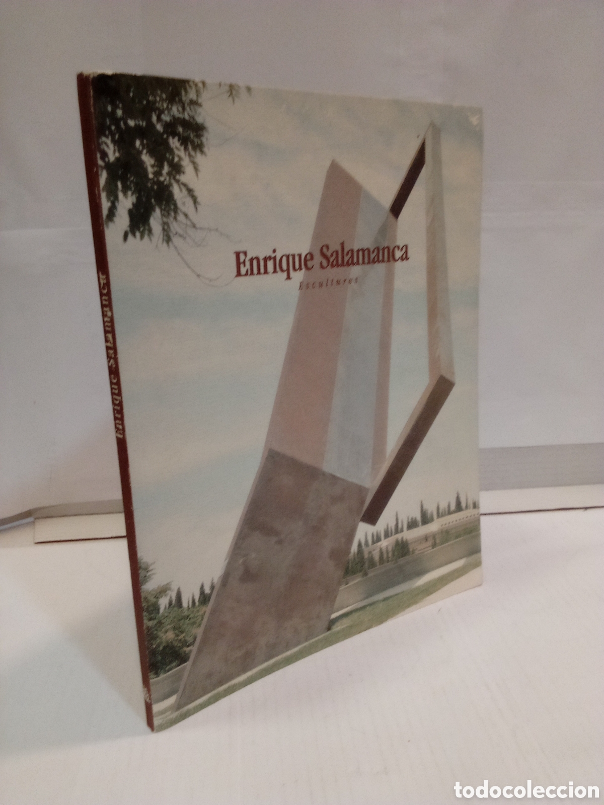 Gebrauchte B&uuml;cher: Enrique Salamanca - Escultures