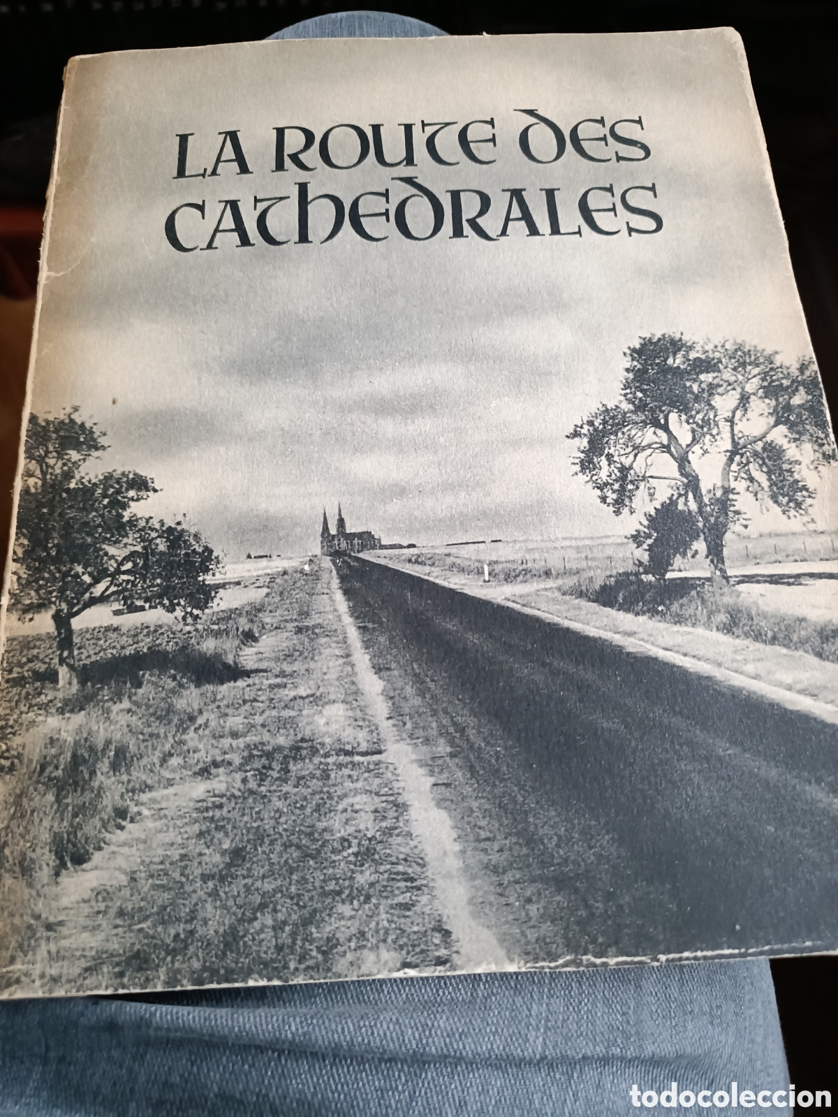 Libros de segunda mano: Ruta de las catedrales Enri Engelmann con dedicatoria y frma 1951