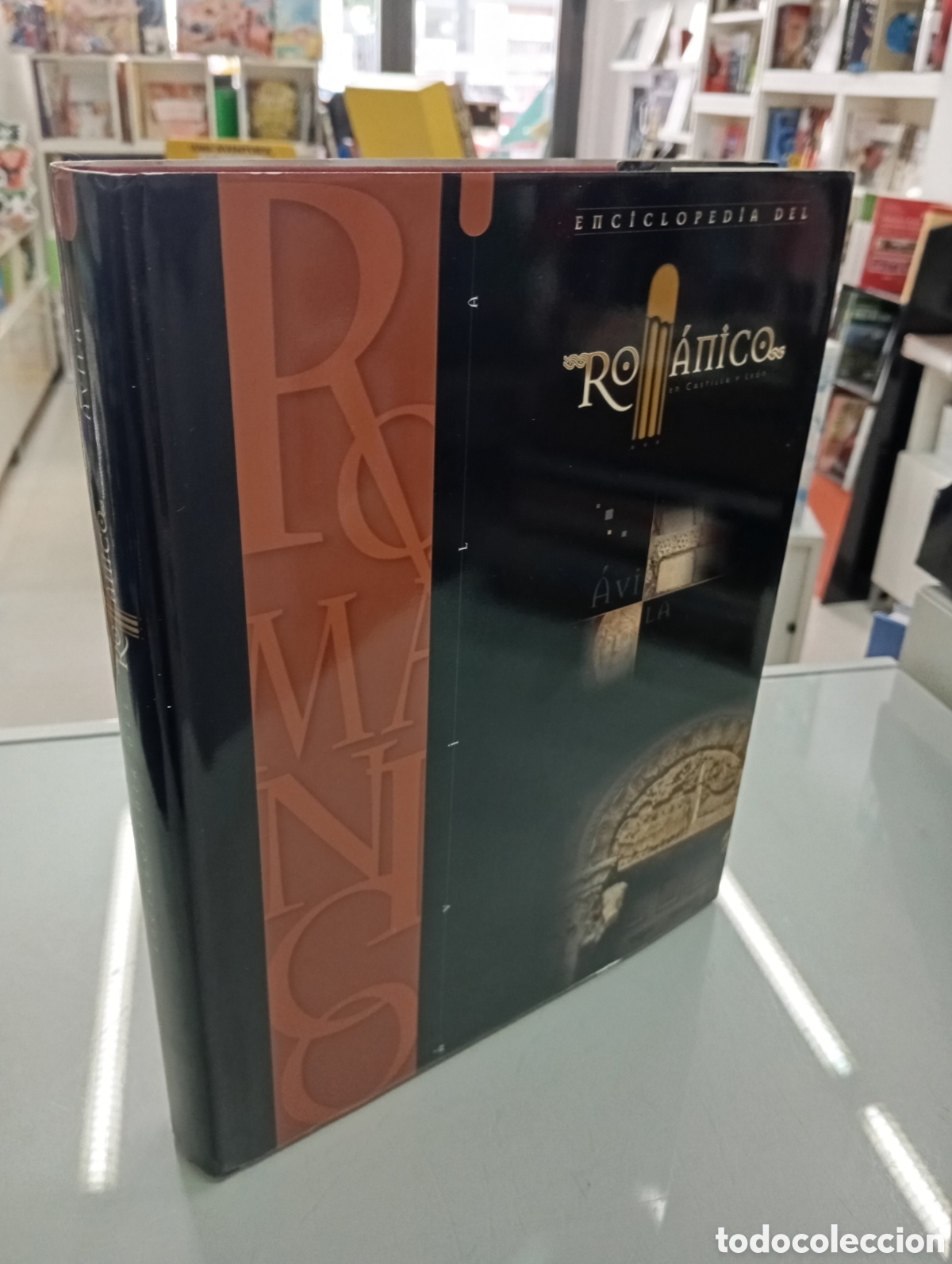 Libros de segunda mano: ENCICLOPEDIA DEL ROMANICO EN AVILA FUNDACION SANTA MARIA LA REAL 2002 VV.AA PERFECTO ESTADO